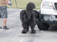 DSC 3729