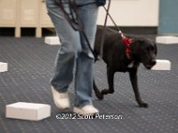 DSC 3749