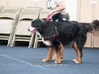 DSC 3756