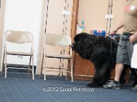 DSC 3770