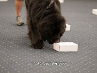 DSC 3772