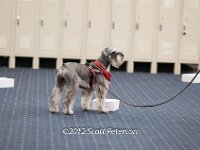 DSC 3779