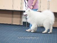 DSC 3782
