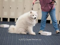 DSC 3784