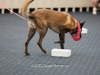 DSC 3787