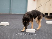 DSC 3799