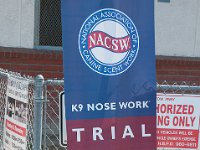 DSC 3802