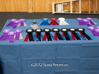 DSC 3806