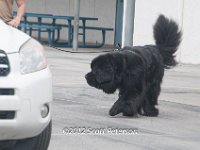 DSC 4591