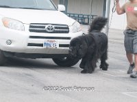 DSC 4592