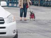 DSC 4593