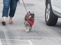 DSC 4594