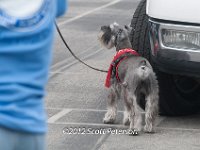 DSC 4595