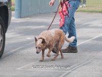 DSC 4599