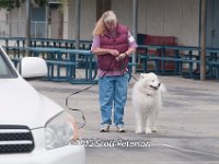 DSC 4602