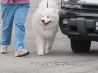 DSC 4604