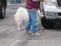 DSC 4605
