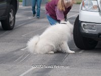 DSC 4606