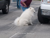 DSC 4607