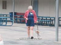 DSC 4608