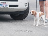 DSC 4609