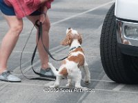 DSC 4613