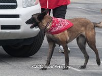 DSC 4616