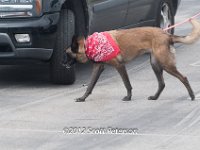 DSC 4617