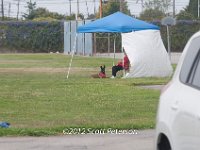 DSC 4619