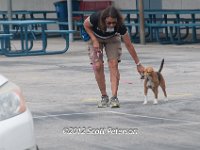 DSC 4620