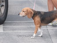 DSC 4621
