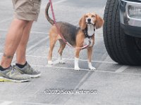 DSC 4624