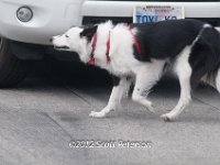 DSC 4626