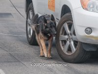 DSC 4633
