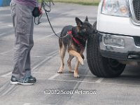 DSC 4634