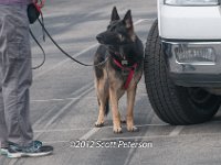 DSC 4635