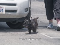 DSC 4637