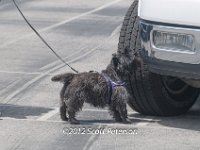 DSC 4639