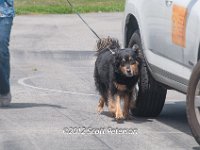 DSC 4643