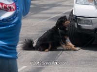 DSC 4645