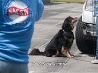 DSC 4646