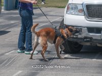 DSC 4653