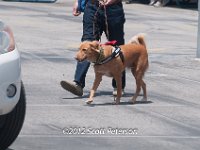 DSC 4656