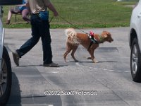 DSC 4657
