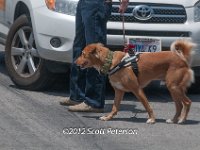 DSC 4658