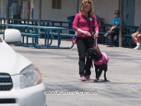 DSC 4659