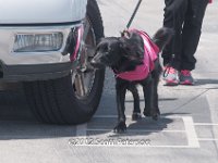 DSC 4661