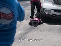 DSC 4663