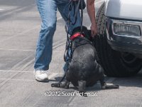DSC 4665