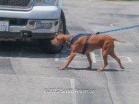 DSC 4668
